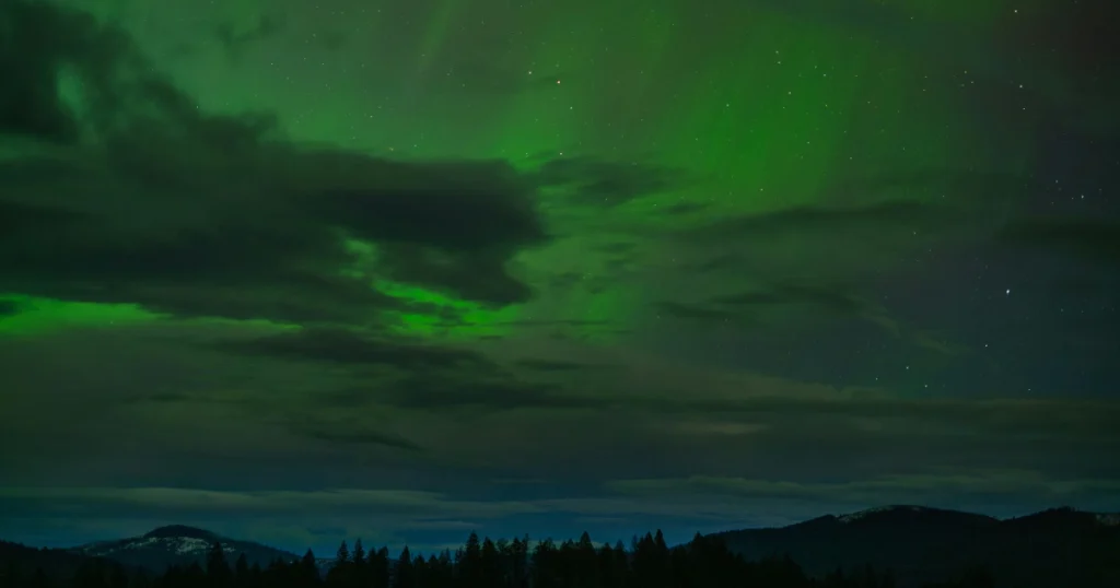 Stunning green Northern Lights dancing over a dark winter forest, highlighting Lapland as one of the best travel destinations in december for witnessing the aurora borealis.