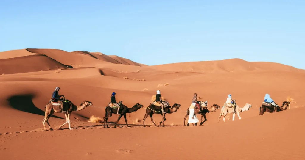 Camel caravan in the Sahara Desert of Morocco, making it one of the best places to go in december